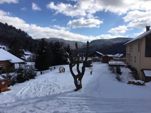 Le Chalet De La Deviniere, Bain Nordique Exterieur Chauffe Xonrupt-Longemer Εξωτερικό φωτογραφία