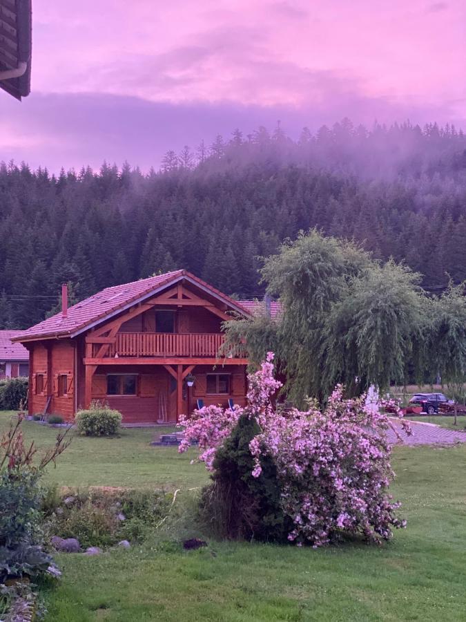 Le Chalet De La Deviniere, Bain Nordique Exterieur Chauffe Xonrupt-Longemer Εξωτερικό φωτογραφία